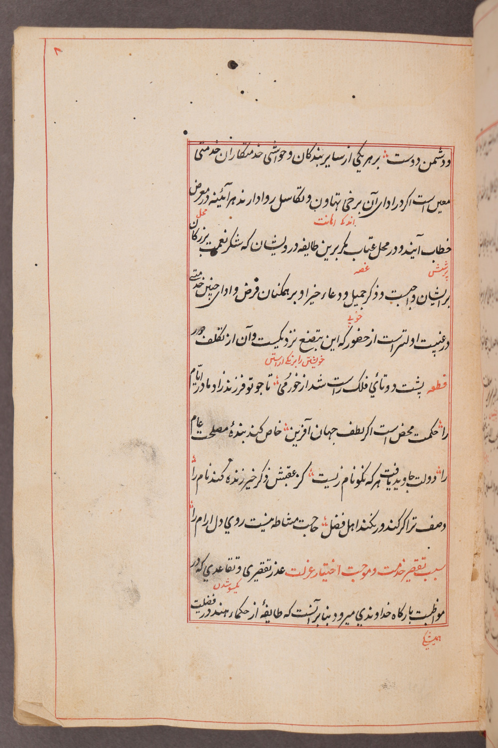Folio 8 recto (17 a)